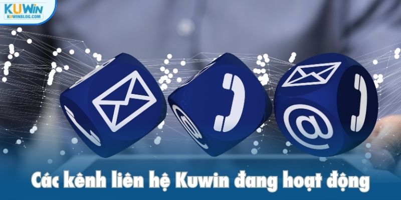 Các kênh liên hệ Kuwin đang hoạt động