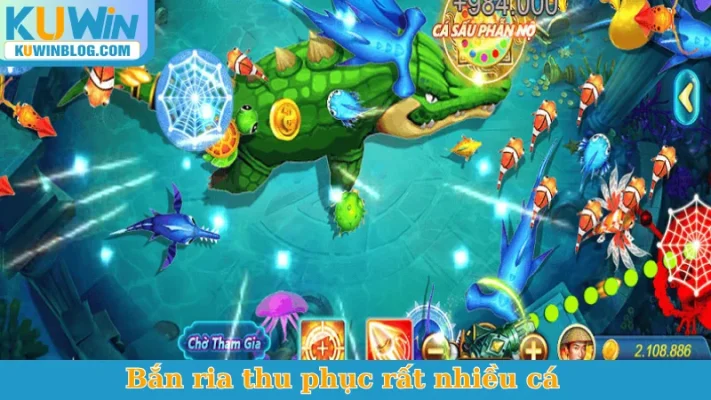 Bắn ria thu phục rất nhiều cá